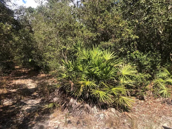 0 Oregon Street, Interlachen, FL 32148