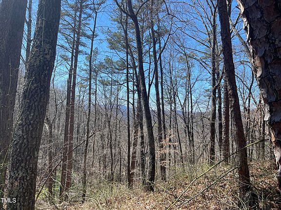 5th image of 0 Bear Cove Rd Tract A