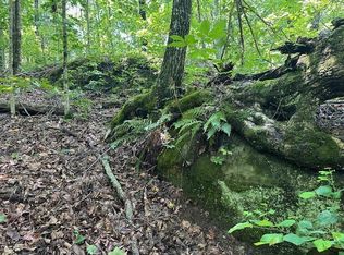 89 W Bobcat Ln, Wilder, TN 38589