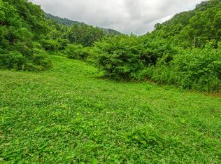 0 Big Branch Rd, Rogersville, TN 37857