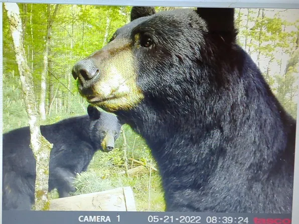 Lot 2 Highway 80 #2, New Lisbon, WI 53950