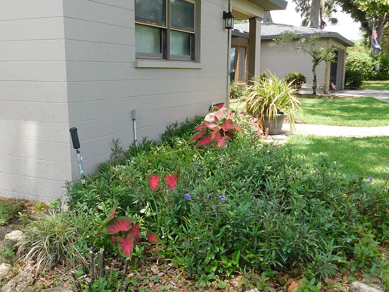 Beautiful landscaping at the southeast corner of the house. The window is for the southeast bedroom.