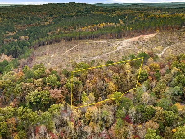 48 Lower Creek Trl, Ellijay, GA 30540