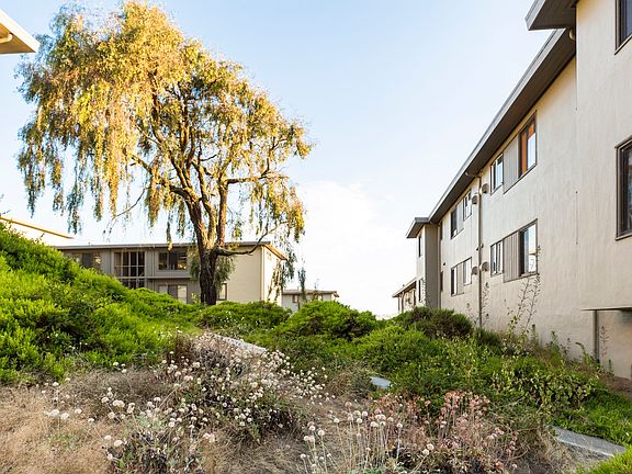 2nd image of 1575 Pershing Dr APT B