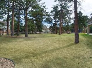 2374 Pine Tree Ln, Evergreen, CO 80439
