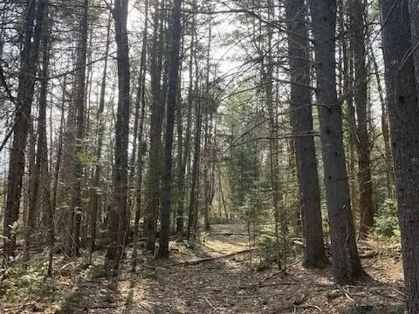 Lot 7C S High Street, Bridgton, ME 04009