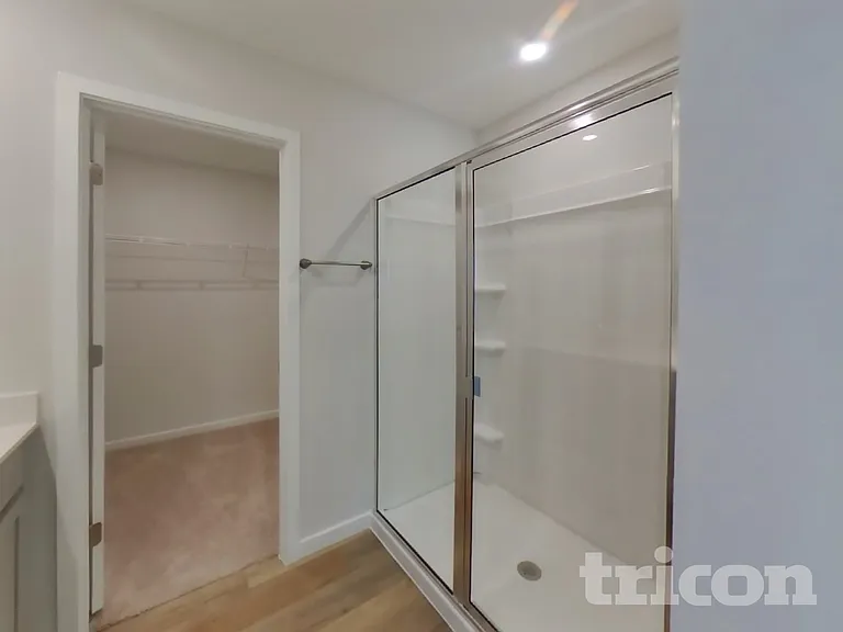56 Brazil Nut Cir — Photo 10