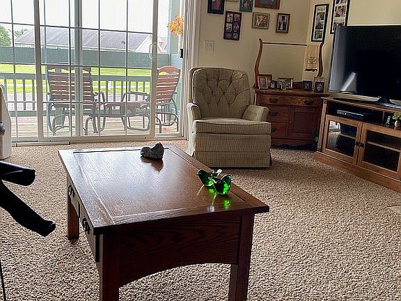 Living room 2. Gas fireplace