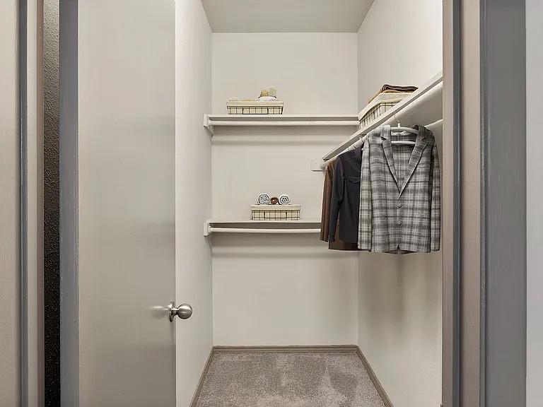 C235370 Enclave at Bear Creek_VS Still_1B1B_Closet