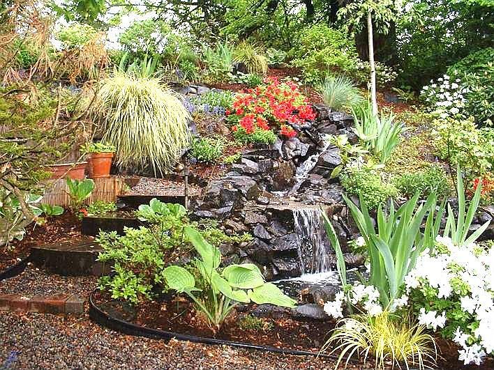 Back Water Feature