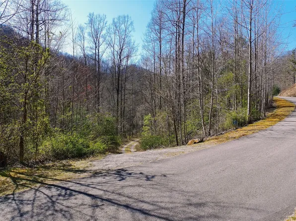 229 Waterdance Dr, Tuckasegee, NC 28723
