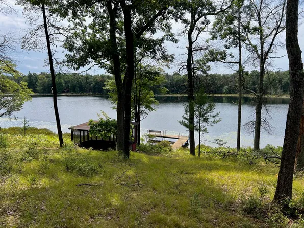 4542 W Erna Lou Dr, Baldwin, MI 49304
