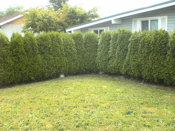 2nd image of 3218 202nd St SW