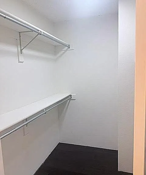 Walk in closet with plent of space
