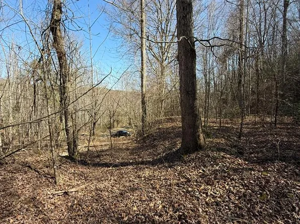 Royal Oaks Trl, Brasstown, NC 28902