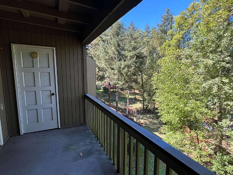 3845 Colony Oaks Dr — Photo 14