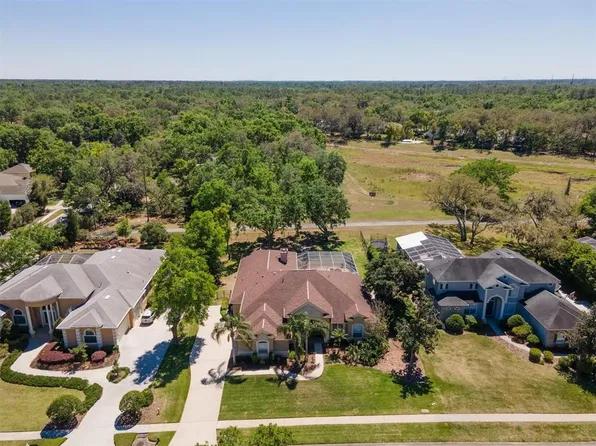 5807 Thoreau Pl, Lithia, FL 33547