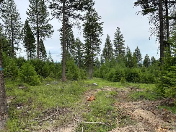 36XX Sheridan Rd Lot B, Republic, WA 99166