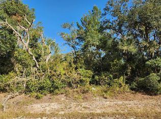 Riverstone St LOT 5, Webster, FL 33597