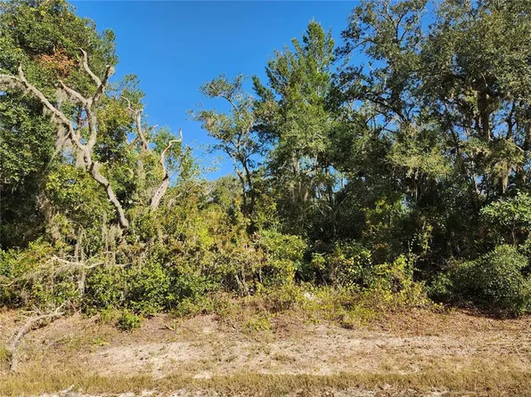 RIVERSTONE STREET LOT 5, WEBSTER, FL 33597