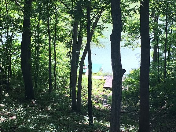 View down to lake with dock