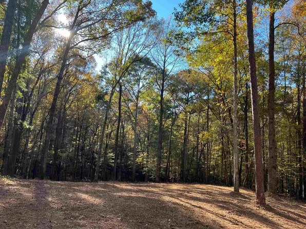 0 Grayson Trl #60, Hogansville, GA 30230