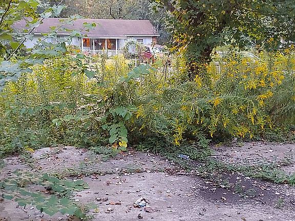 3rd image of 8816 E Bourne Dr