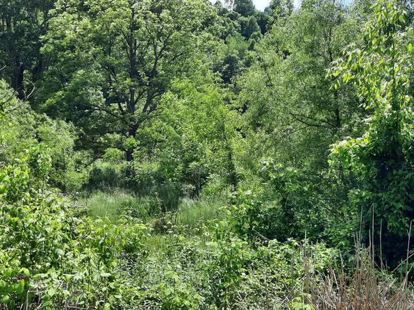 229/BARBOURVILL East Rd, Barbourville, KY 40906