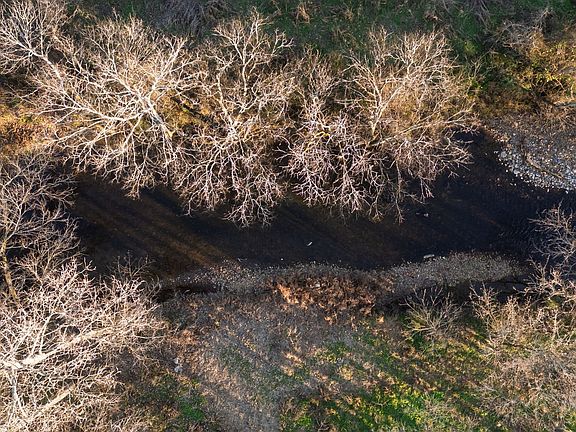 30th image of this home