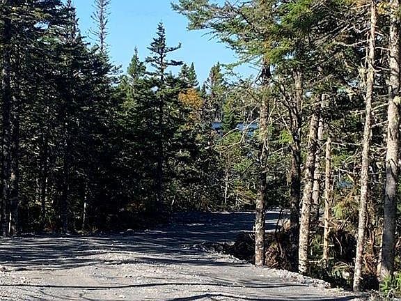 4th image of LOT 5 Halleran Trail