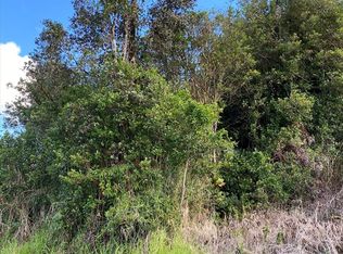 Henele Rd, Mountain View, HI 96771