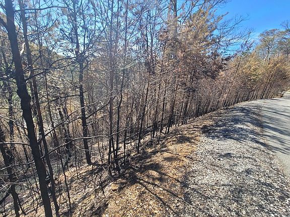 2nd image of 4 River Birch Way Lot 4