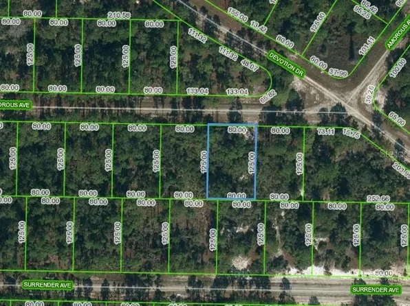427 Amorous Ave #8, Lake Placid, FL 33852