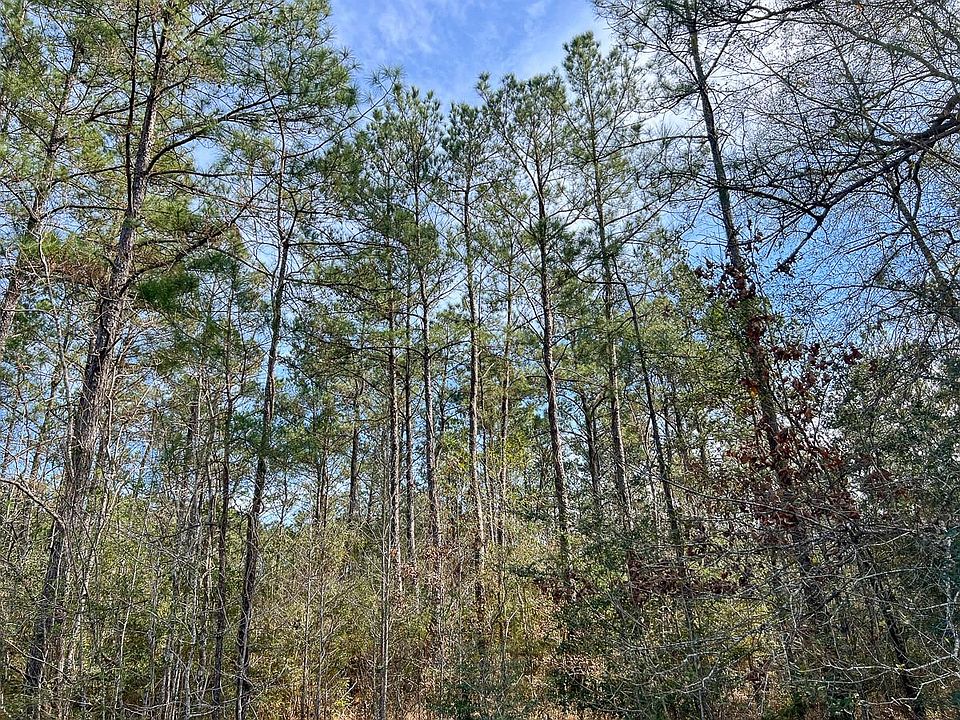 1st image of T2 Zavalla Rd
