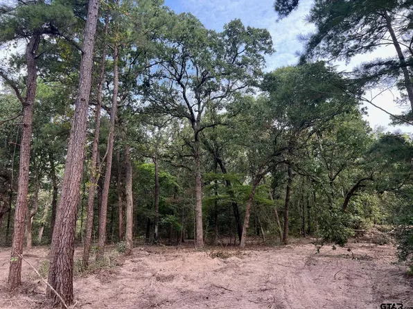 Tbd Cr 3900, Hawkins, TX 75765