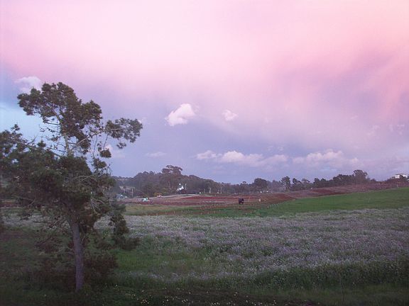 View From Front of House