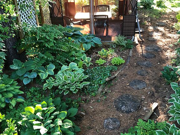 shade garden