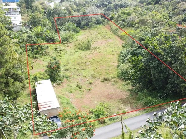 Carr 173 Sumidero 4, Aguas Buenas, PR 00703