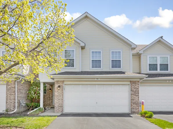 113 Cambrian Ct, Roselle, IL 60172