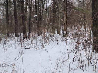 6908 E 18th St, White Cloud, MI, 49349