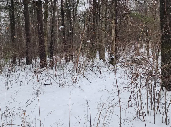 6908 E 18th St, White Cloud, MI 49349