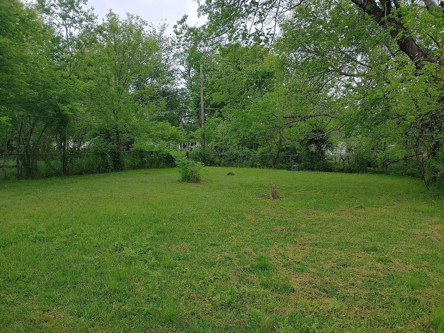 4421 Cicero St — Photo 2