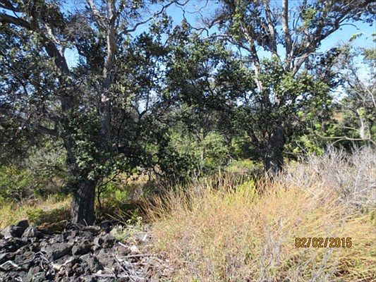 2nd image of 92-8325 Trade Wind Blvd Lot 13-A
