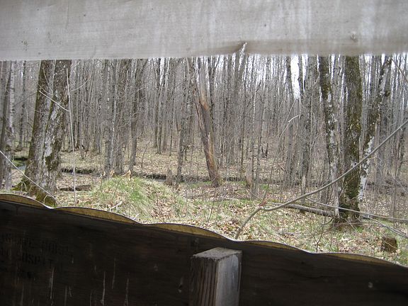 VIEW FROM HUNTING BLIND