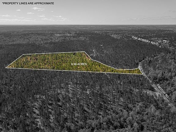 4th image of 6 Timothy Rd