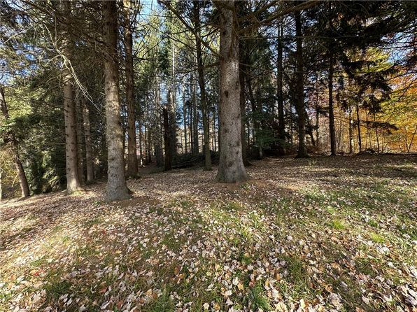 0 Jervis Lake Rd, Grove City, PA 16127