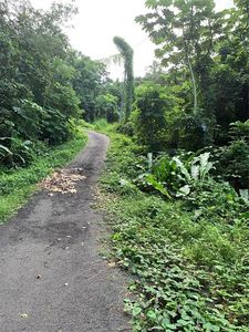 907 Carretera, Canovanas, PR, 00729