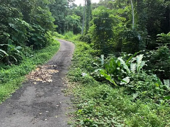 907 Carretera, Canovanas, PR 00729