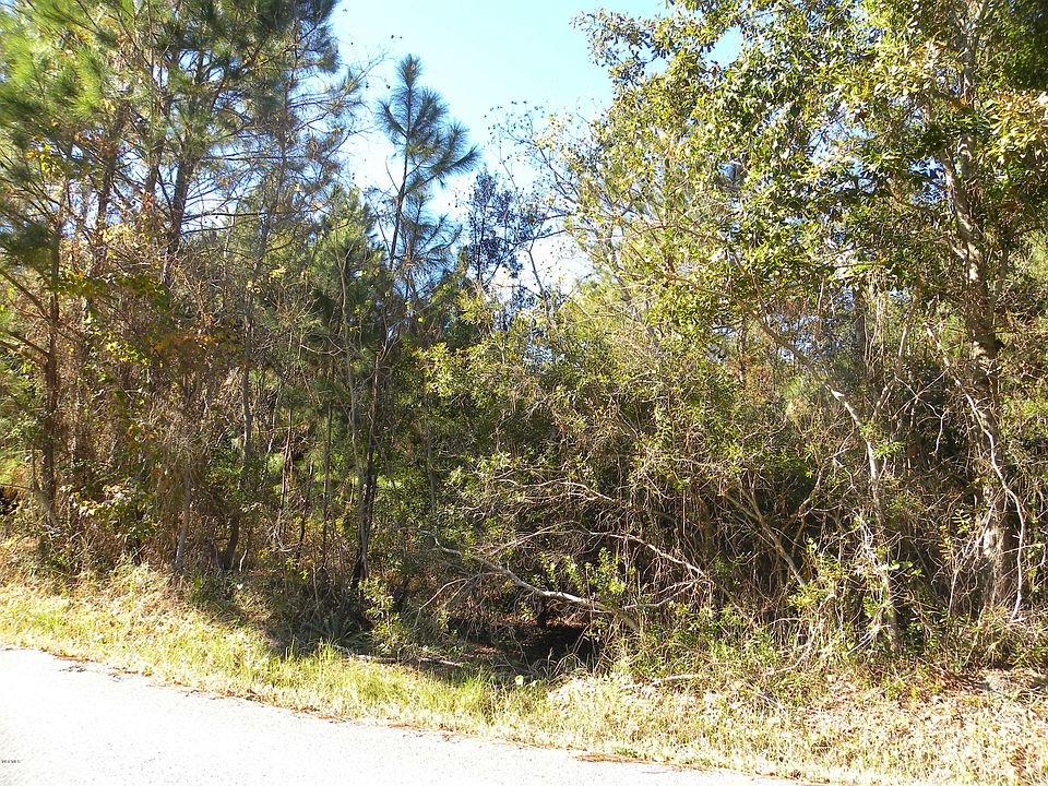 2nd image of 407 Livingston Dr