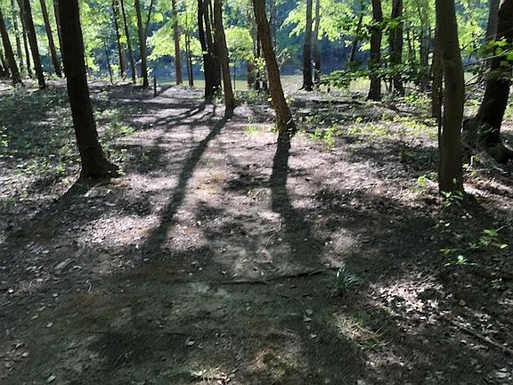 3rd image of LOT 5 Lakepointe Dr Lot 5